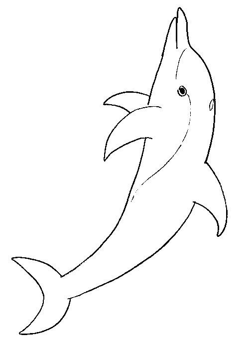 Animale delfini de colorat p02