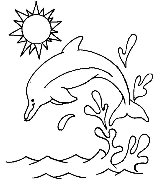 Animale delfini de colorat p08