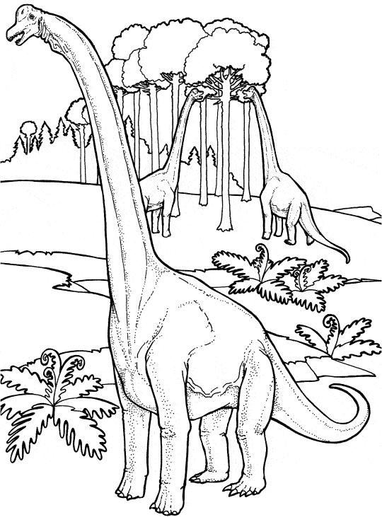 Animale dinozauri de colorat p06