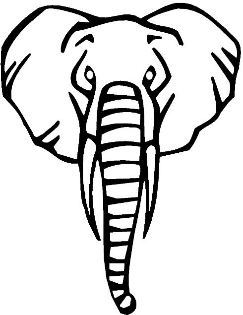 Animale elefanti de colorat p19