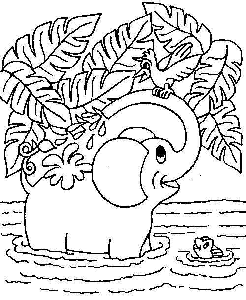 Animale elefanti de colorat p23