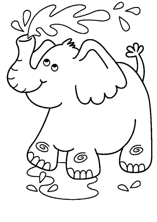 Animale elefanti de colorat p42