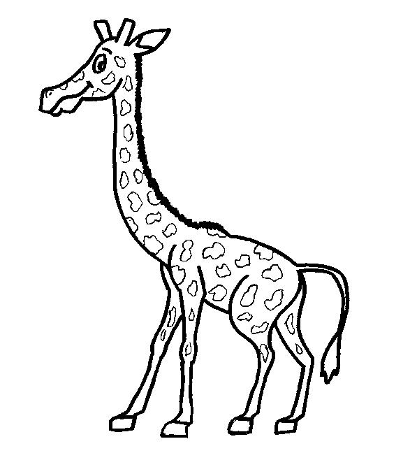 Animale girafe de colorat p16