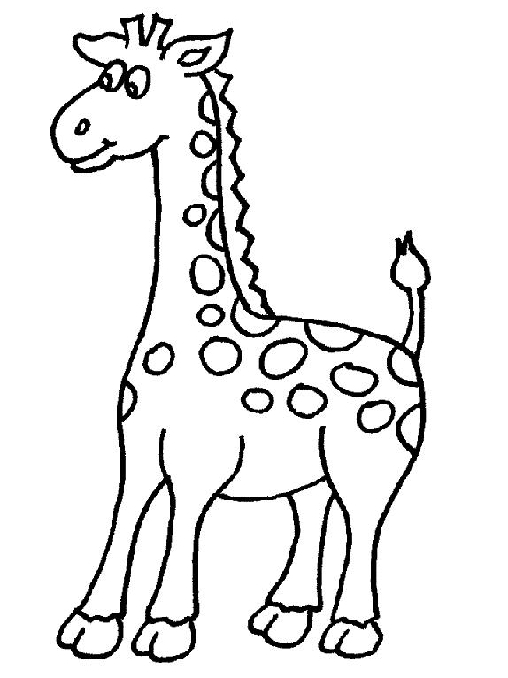Animale girafe de colorat p27
