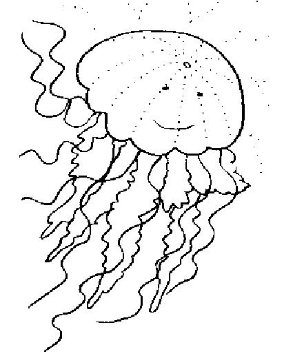 Animale meduze de colorat p02