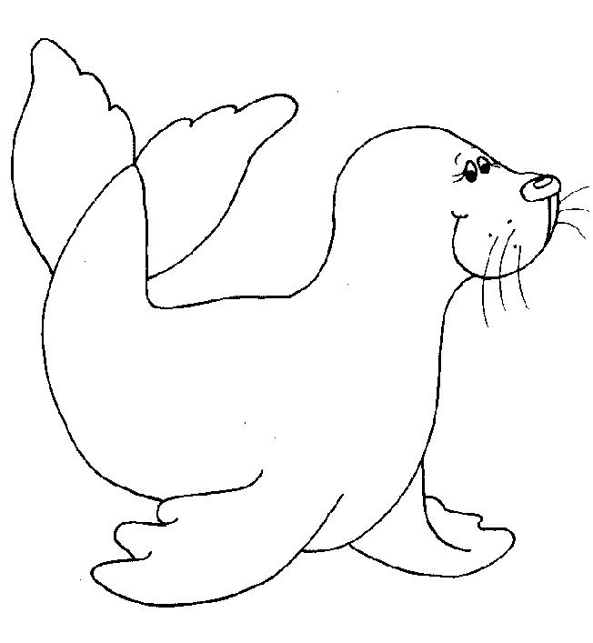 Animale morse si foci de colorat p08