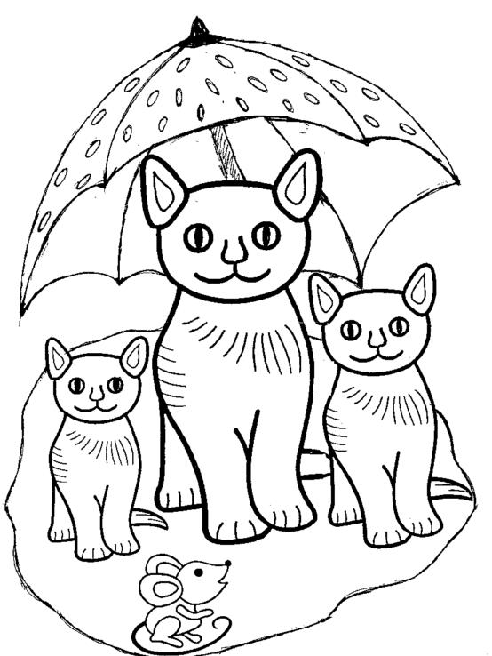 Animale pisici de colorat p15