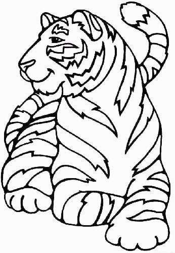 Animale tigri de colorat p13
