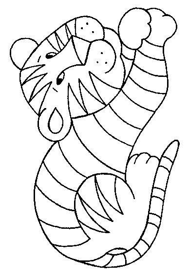 Animale tigri de colorat p36