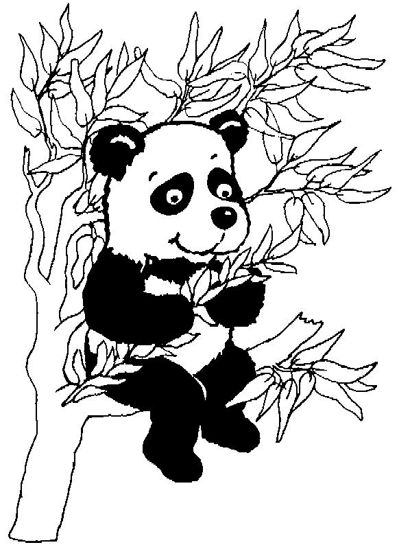 Animale ursi panda de colorat p01