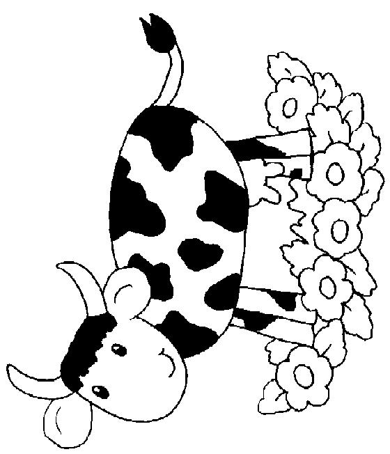 Animale vaci de colorat p41