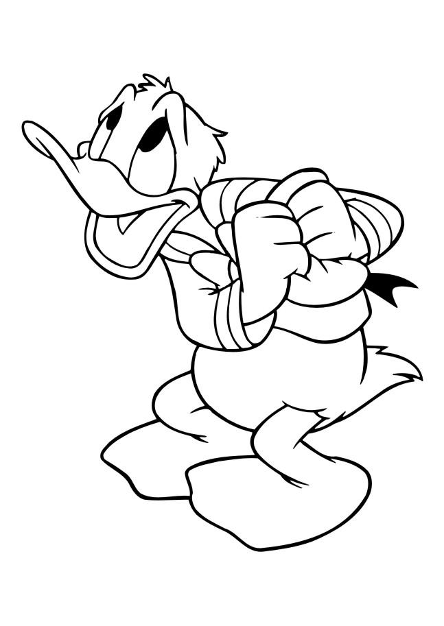 Donald duck de colorat p55