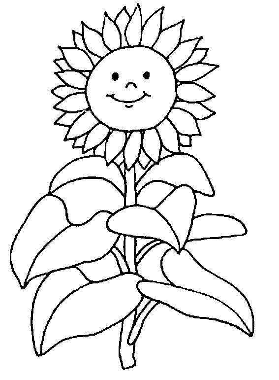 Floarea soarelui de colorat p01