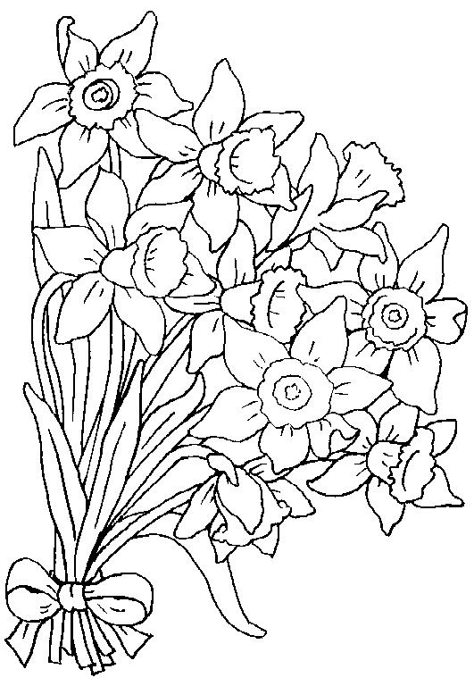 Flori narcise de colorat p02