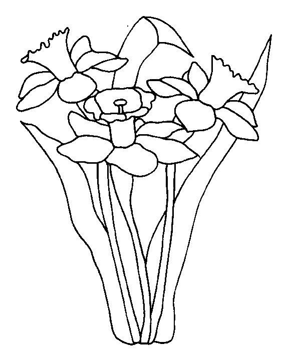 Flori narcise de colorat p10