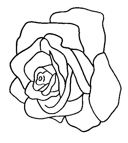Flori trandafiri de colorat p19