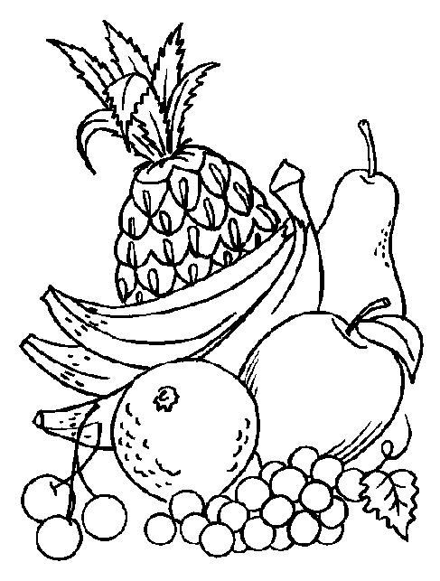 Fructe si legume de colorat p53