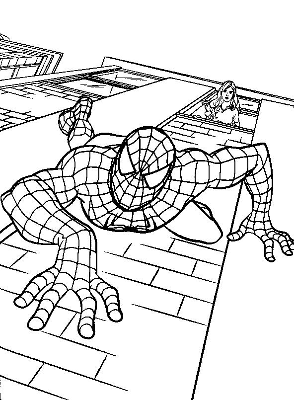 Spiderman de colorat p07