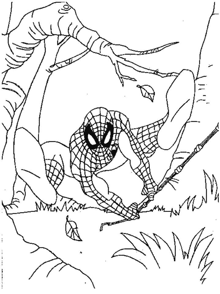 Spiderman de colorat p39