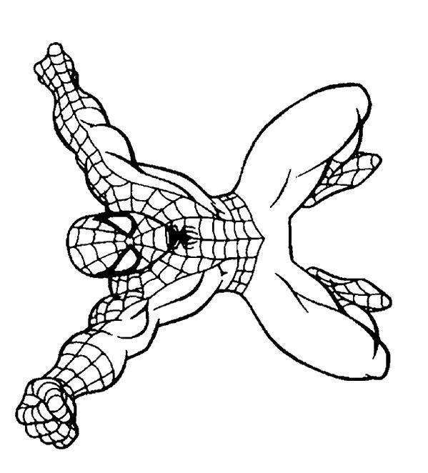 Spiderman de colorat p40