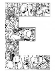 plansa de colorat alfabetul cu animale #5