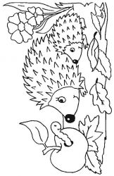 plansa de colorat animale #4