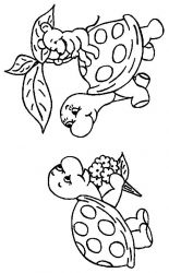 plansa de colorat animale broaste testoase #3
