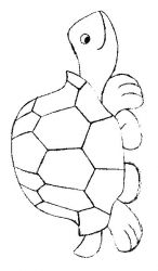 plansa de colorat animale broaste testoase #9