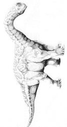 plansa de colorat animale dinozauri #10