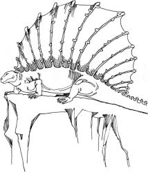 plansa de colorat animale dinozauri #10