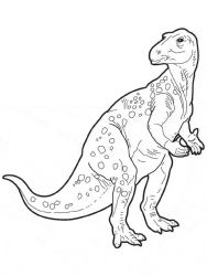 plansa de colorat animale dinozauri #12
