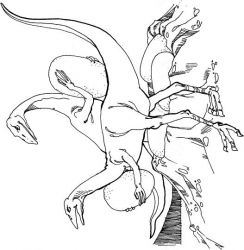 plansa de colorat animale dinozauri #13