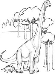 plansa de colorat animale dinozauri #19