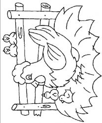 plansa de colorat animale gaini #4
