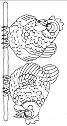plansa de colorat animale gaini #6