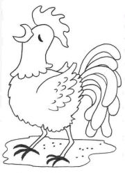 plansa de colorat animale gaini #7