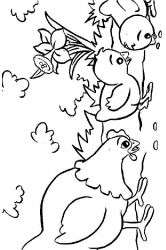 plansa de colorat animale gaini #13