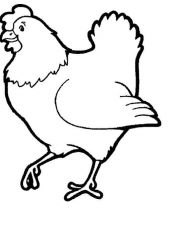 plansa de colorat animale gaini #16