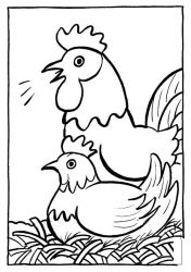 plansa de colorat animale gaini #19