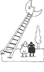 plansa de colorat animale oi #12