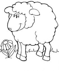 plansa de colorat animale oi #6