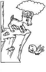 plansa de colorat animale oi #8