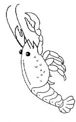 plansa de colorat animale raci #3