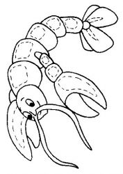 plansa de colorat animale raci #4