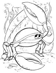 plansa de colorat animale raci #14