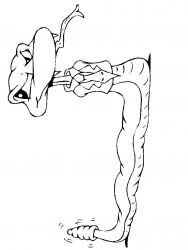 plansa de colorat animale serpi #2