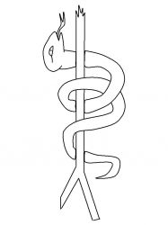 plansa de colorat animale serpi #8