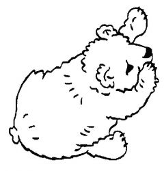 plansa de colorat animale ursuleti #4