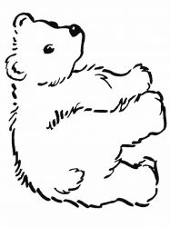 plansa de colorat animale ursuleti #5