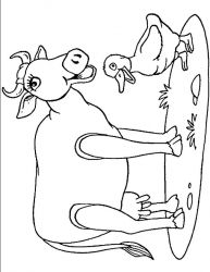 plansa de colorat animale vaci #7